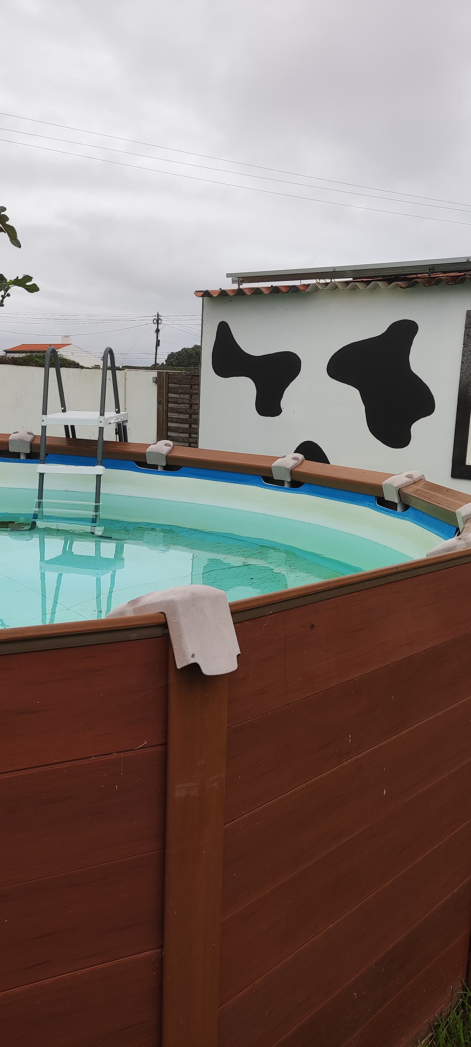 Outdoor pool area at Azores Cow House